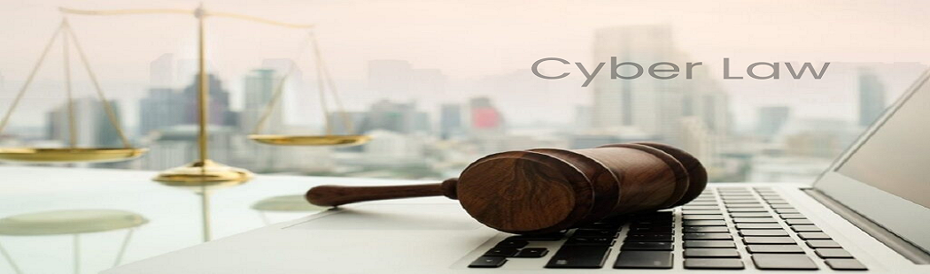 135305-CYBER-LAW.png></p>
                        
                        <div class=